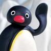 pingu